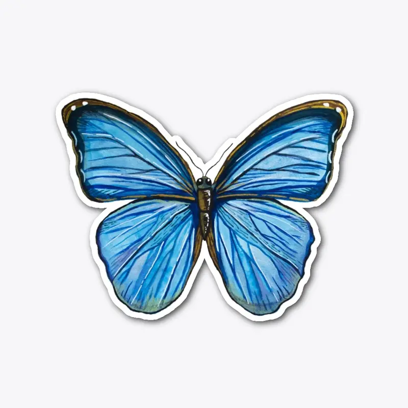 Blue Butterfly